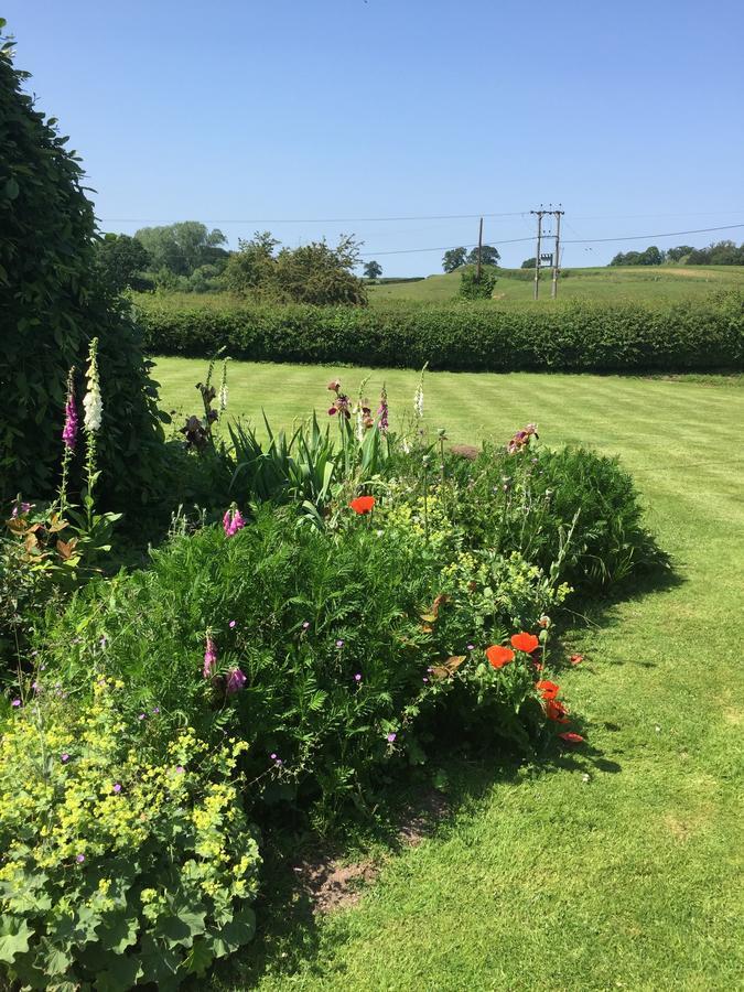 North Farm Bed And Breakfast Shrewsbury Bagian luar foto